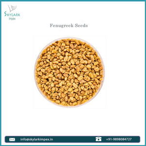 Wholesale 2025 New Crop Fenugreek <b>Seeds</b> Raw and Dried Single Spices 1kg 5kg 10kg <b>Packs</b> Manufacturer's Baked Processing - Product Image 2