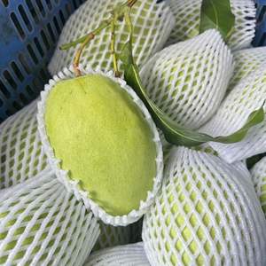 มะม่วงสดหวานคุณภาพพรีเมียมจากเวียดนาม สำหรับส่งออกและขายส่ง - Product Image 1