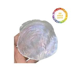 Concha de Capiz de corte redondo, venta al por mayor, concha de Capiz transparente Natural para decoración del hogar, adorno listo para enviar - Product Image 2