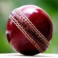 Ensemble de tenue de cricket pour jeunes et adultes, maillot d'équipe personnalisé, pantalon et pull, couleur de la balle de cricket, balle de cricket haute performance