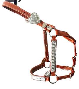 Dernier modèle de licol en cuir occidental décoratif pour l'équitation, respirant, avec ferrures argentées - Product Image 5