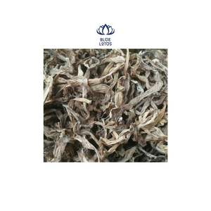 Feuilles de Crinum Latifolium, fabrication au Vietnam - Product Image 1