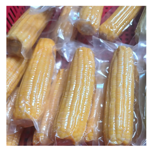 Maíz congelado utilizado en recetas Maíz congelado empaquetado de Vietnam para uso culinario en comidas rápidas Cafés Cocinas y unidades minoristas - Product Image 1