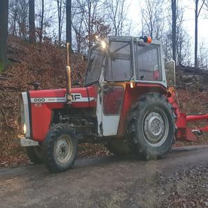 Tracteur 260 MF 2WD avec moteur de 70 CV, boîte de vitesses, châssis robuste pour travaux agricoles légers à moyens, disponible à la vente - Product Image 2