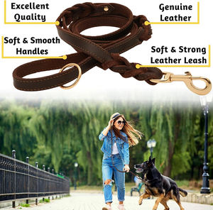 Collares de perro de cuero marrón Premium Durable Ajustable Hebilla de metal acolchada suave Tamaños para razas pequeñas a grandes - Product Image 6