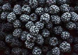 Mora negra congelada de calidad premium para exportación a granel, sin aditivos, fruta recién cosechada, ideal para batidos, postres, repostería y uso comercial. - Product Image 5