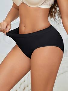 <b>Women's</b> Seamless High-Rise Nylon Blend Hipster Panties Soft Comfortable Knitted <b>Underwear</b> No-Show Inner Lining Embroidery - Product Image 3