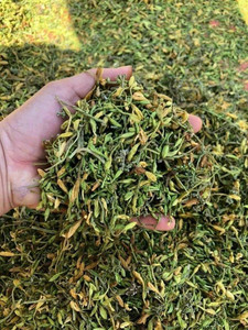 Flor de papaya seca de calidad superior a precio barato al por mayor de Vietnam/hierba natural - Product Image 2