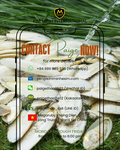 Hueso de Sepia (Alto en Calcio) - Ingrediente Natural para Alimentación |   Vietnam - Product Image 6