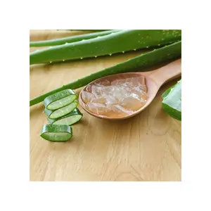 芦荟草本洗发水ALOEVERA草本洗发和舒缓头皮洗发水 | 250毫升