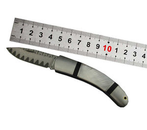 Couteau pliant en acier inoxydable gravable avec manche en bois personnalisable, couteau de poche pour la chasse et le camping, en gros - Product Image 1