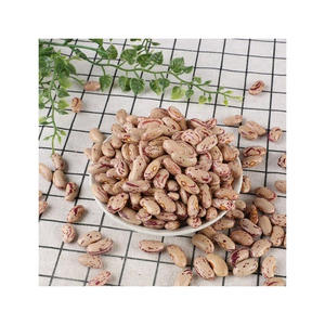 Approvisionnement fiable en fèves de sucre pour les fabricants et les revendeurs de produits alimentaires - Product Image 4