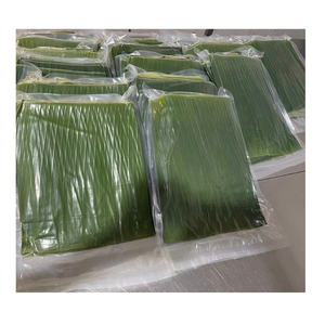 ใบตองสดใบตองสดส่งออกไปยังประเทศเวียดนามสำหรับบรรจุภัณฑ์สูญญากาศจากข้อมูลทองคำ99รายการในเวียดนาม - Product Image 4