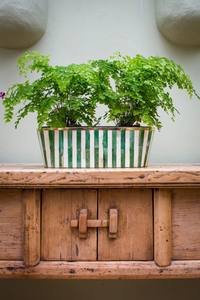 Zigzag Design Europe Style Os Incrustation Pot De Fleur Intérieur Extérieur Jardin Décor Pots & Jardinières pour Produits Offre Spéciale - Product Image 6