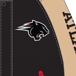 Custom Design Embroidered Varsity <b>Jacket</b> for Men/Women <b>Winter</b> Street Wear Wool Body <b>Leather</b> Sleeves Greek Fraternity/Sorority - Product Image 4