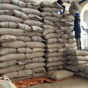 Granos de café verde Robusta de Vietnam de alta calidad de grado premium AA 90% madurez marca Vilaconic Jenny Doan - Product Image 3