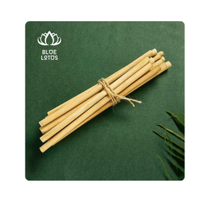 Juego de pajitas de bambú reutilizables, pajitas biodegradables de Vietnam, elección ecológica para uso familiar, bambú - Product Image 1