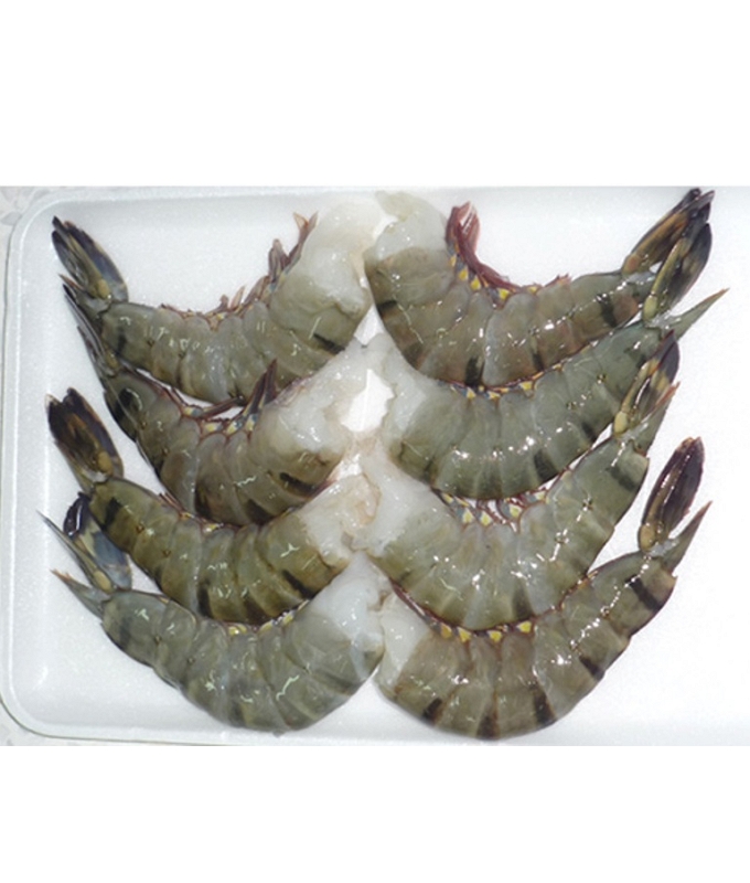 Udang HOSO Hitam Tiger Beku/Persediaan Udang Beku/Udang Vannamei