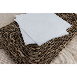 Servilletas Blancas de 33x33cm, 2 Capas, 100 Unidades, 36 Paquetes, B2B - Product Image 1