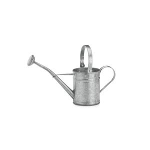 Arrosoir fait à la main design, arrosoir de décoration de jardin en métal pour exportateur en gros - Product Image 1