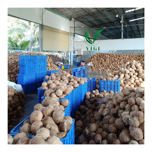 Bền vững Dừa nguyên vỏ từ Việt Nam cho thịt nướng bánh và công nghiệp nhiệt thế hệ - Product Image 5