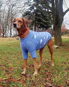 สเวตเตอร์ขนแกะสีฟ้าแบบถักด้วยมือเสื้อผ้าสุนัขขนาดเล็กเสื้อผ้าสุนัขขนาดเล็กเสื้อผ้าสุนัขแบบออกแบบได้ตามต้องการ - Product Image 2