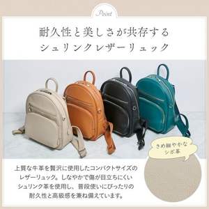 Sac à dos antivol élégant BP-M pour filles, en nylon imperméable de haute qualité, avec fermeture éclair, design imprimé tendance, pour usage quotidien - Product Image 5