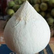 Noix de coco fraîches vertes polies pour l'exportation, goût naturel et tendre, produit agricole - Product Image 3