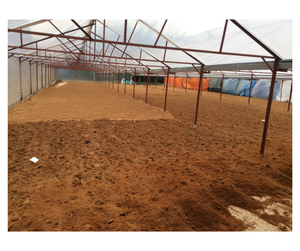 Polvo de Cáscara de Coco Más Vendido, Proveedor de Vietnam - Seco y Limpio para Aditivos Industriales y Uso como Relleno, Polvo de Cáscara Marrón - Product Image 4