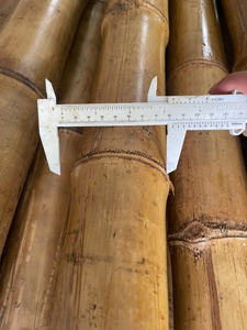 Poteau en bambou du Vietnam de vente chaude pour la construction à bon prix du Vietnam - Product Image 2