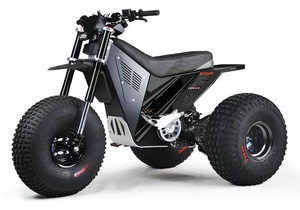 Bicicleta Eléctrica de 3 Ruedas Original de Alta Calidad - M I N I R CR T3 E - Product Image 3