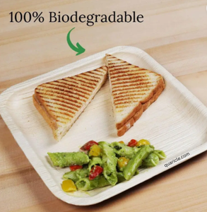 Élégant Biodégradable Carré Areca Feuille Vaisselle Réutilisable pour les Fêtes Écoles Cantines Supermarchés Mariages Hôtels Voyage - Product Image 4