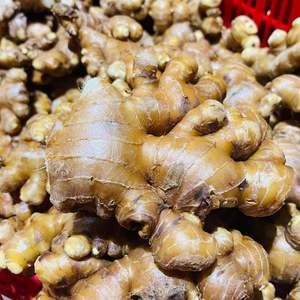 ขิงสดพรีเมี่ยมจากสมุนไพรที่มีคุณค่าทางโภชนาการจากเวียดนามและส่วนผสมชา - Product Image 3