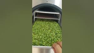 Pimiento Verde Liofilizado de Marca Propia para la Producción Alimentaria Moderna - Product Image 2