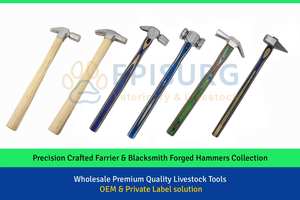 Martillo redondeador forjado 1 LB. Martillo de doble cara bien equilibrado de 10 OZ con cabeza de acero pulido y herramienta de herrador veterinario con mango de madera - Product Image 5