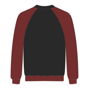 Sudadera con Mangas Raglán y Bordado Chenille de la Hermandad Griega Delta Divine Nine, Estilo Universitario, para Estudiantes Negros de HBCU - Product Image 3