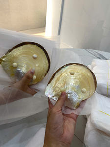 Cuentas de abalorios multicolores, conchas de cauri coloridas, concha de mar para fabricación de joyas DIY - Product Image 5