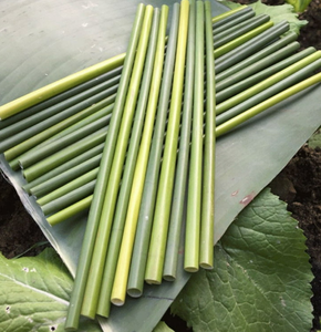 100% Pailles d'herbe jetables écologiques de Blue Lotus Farm Produit chaud le plus vendu directement du Vietnam au meilleur prix - Product Image 6