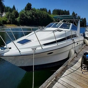 1991 B-a-y-l-i-n-e-r 3055 A-v-a-n-t-i - Product Image 1