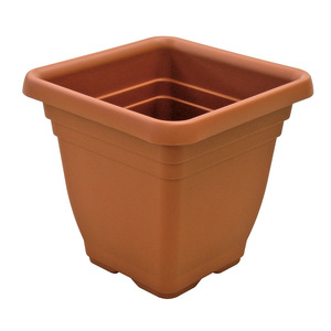 Quadro Laurus Cm. 45x45x40 H - Product Image 1