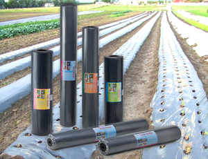 Film de paillage agricole en plastique de type extrusion et moulage à rouleaux CENPLAS CT-M001 Noir de Ho Chi Minh City Service OEM - Product Image 3
