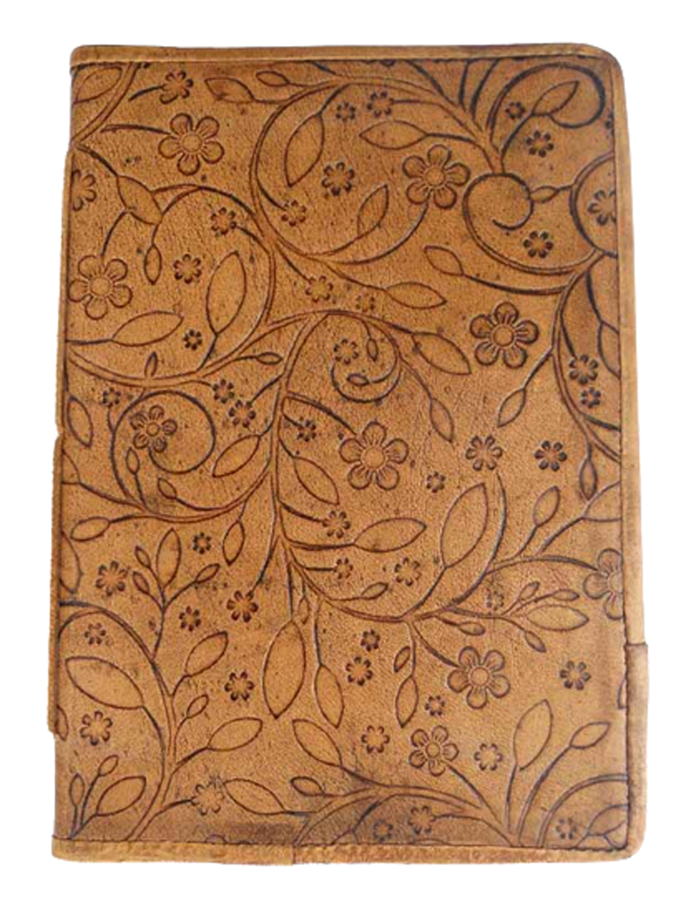 สีน้ำตาล