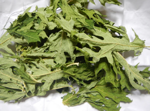 Vente en gros de feuilles de papaye séchées qualité supérieure bon marché feuille de papaye séchée fournie du Vietnam - Product Image 2