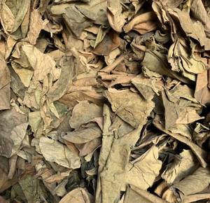 ใบส้มโอแห้งธรรมชาติ 100% ใบหอมสำหรับทำอาหาร สปา และการบำบัดเพื่อสุขภาพ คุณภาพพรีเมียมสำหรับการส่งออก - Product Image 3