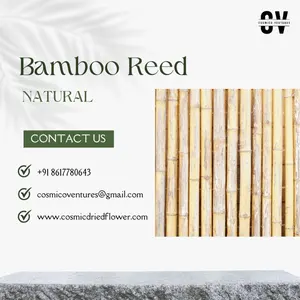 Bastões de bambu cru 100% naturais, ecológicos, estacas de bambu para decoração de casa, tamanhos variados, estacas de cana originais