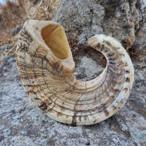 เคี้ยวและขนมสุนัขธรรมชาติคุณภาพสูงทนทานเป็นแตรแกะแท้เป็นมิตรต่อสิ่งแวดล้อม - Product Image 2