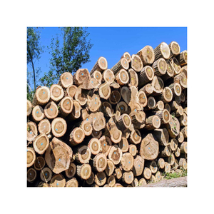 Grumes de peuplier de haute qualité à vendre en vrac à des prix compétitifs - Product Image 4