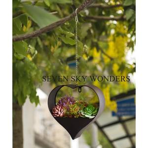 Jardinières suspendues jardin ferme Pots de fleurs et tenture murale décorative couleur noire jardinières en métal enduit de poudre artisanat - Product Image 5