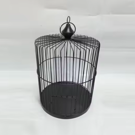 ตามที่แสดง