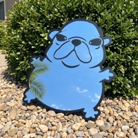 Miroir mural irrégulier en acrylique personnalisé avec photo d'animal de compagnie, design amusant de chien, pour chambre à coucher et décoration intérieure - Vente en gros
